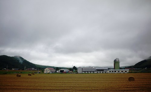Farmland east of Lake Oketo (Hokkaido, Japan)