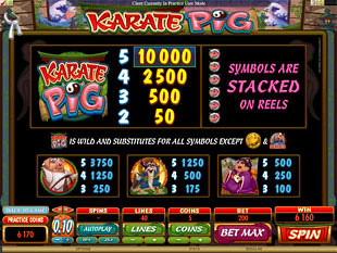 Karate Pig Slots Payout