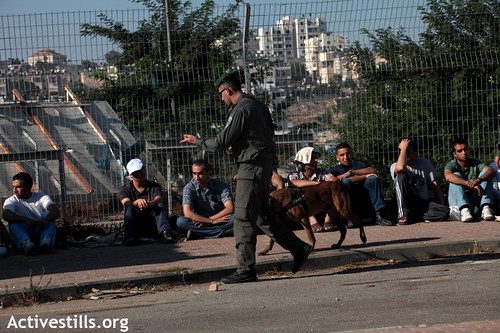 Men detained by Israel Border Police after crossing The Wall while trying to go to pray at Al-Aqsa - ActiveStills photo taken on 17 Aug 2012