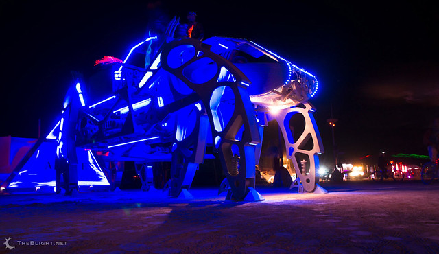 Burning Man Fertility 2.0 2012