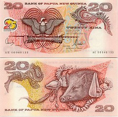 papua-new-guinea-money