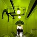The green corridor