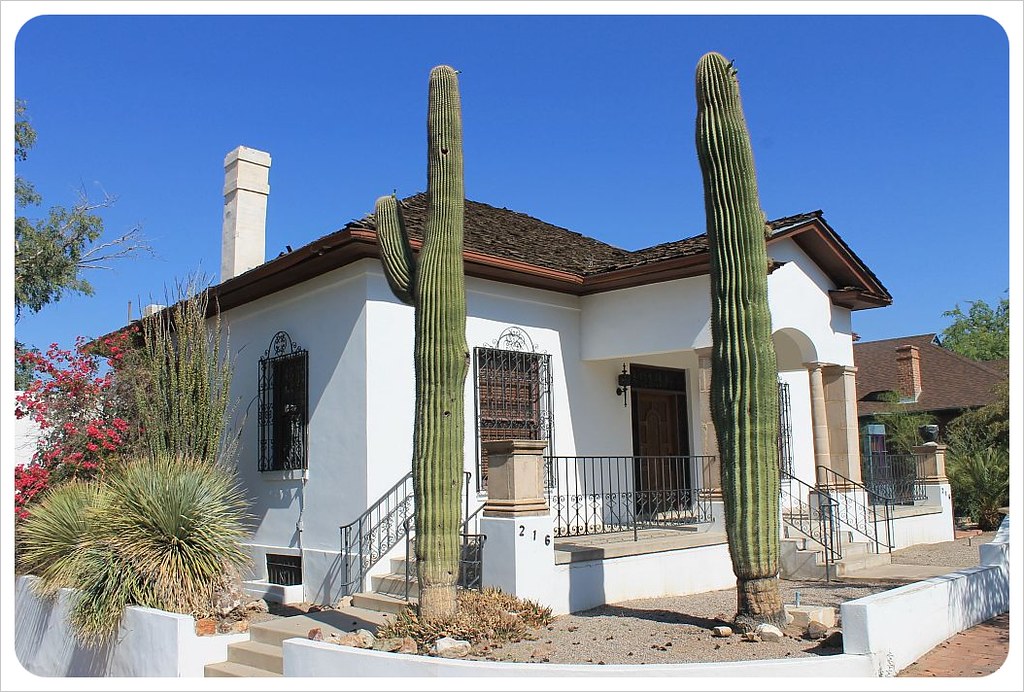 tucson house with saguaros