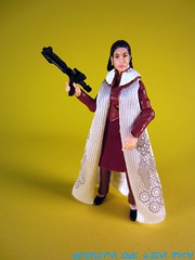 Princess Leia (Bespin Gown)