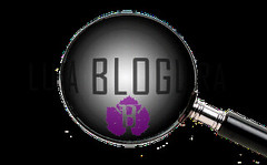 Lupa Bloguera: se va la segunda