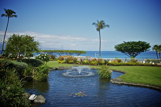 Maui: August 2012