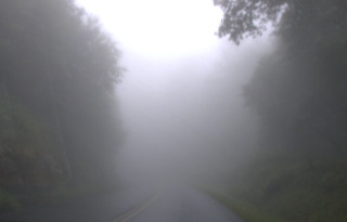 Parkway Fog