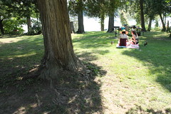 picnicking