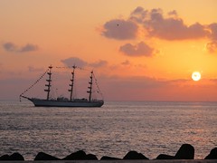 Fotos La Fragata A.R.A. "Libertad" de la armada argentina en Las Palmas de Gran Canaria