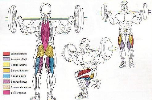 barbell-lunges