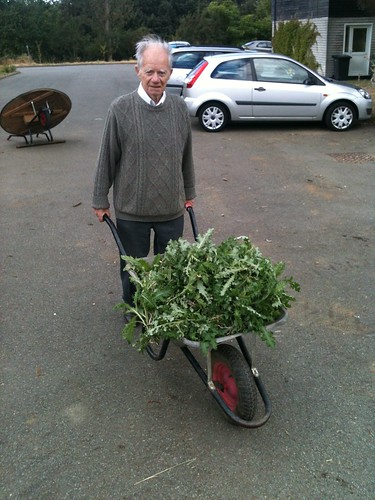 Ken with a wheelbarrow full of weeds