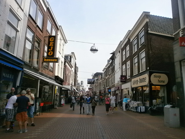 Waffles, Beers, Friteries and Coffee Shops. - Blogs de Europa Central - Día 9. De Haarlem a Leiden con noche en Rotterdam. (15)