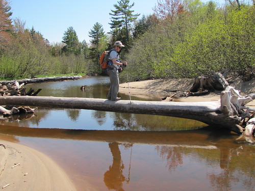 Using a Log to Cross a Stream