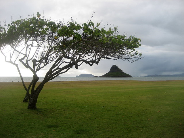 Hawaii - August 2012 250