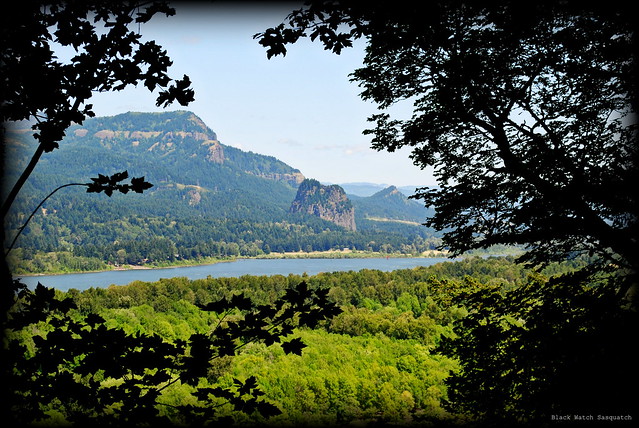 a glimpse of Beacon Rock and Hamilton Mountain from the Horsetail Falls Trail - Columbia River Gorge
