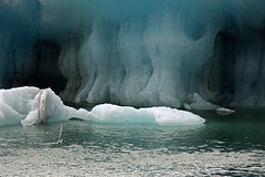 Iceberg ... by Zé Eduardo...