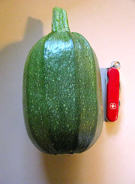 The unusual squash from the garden