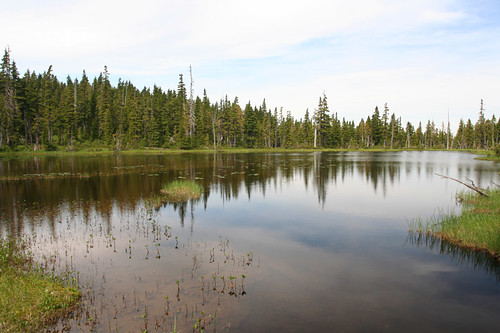 reflection in Lake Helen Mackenzie
