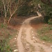 Cameroon impressions - IMG_2395_CR2