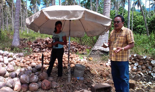 Koh Samui Coconuts factory やし工場