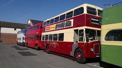 Goodwood Revival Bus Service