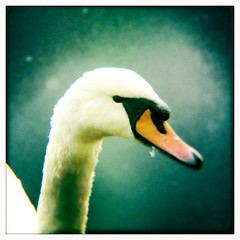 iphoneography 2011