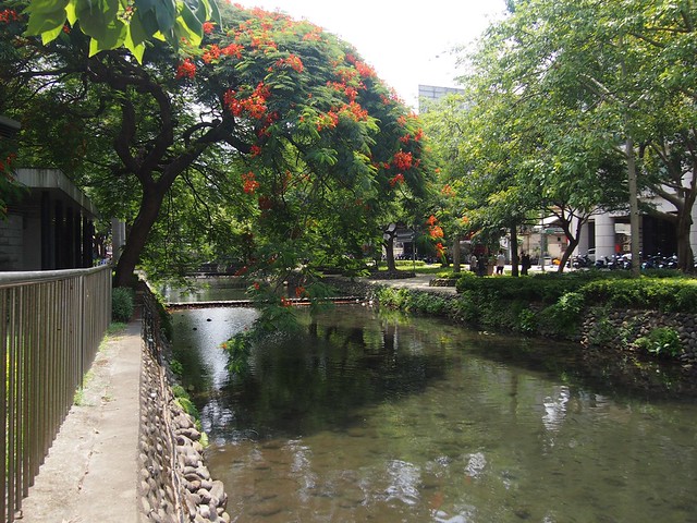 新竹市區護城河