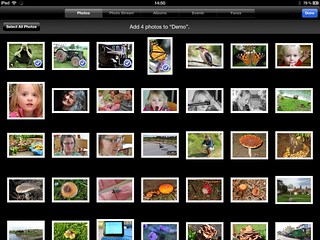 IMG_4794 iPad Photo Album 31-08-2012