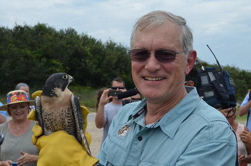 Ed Clark of the Wildlife Center of Virginia prepares to release the falcon into the wild.