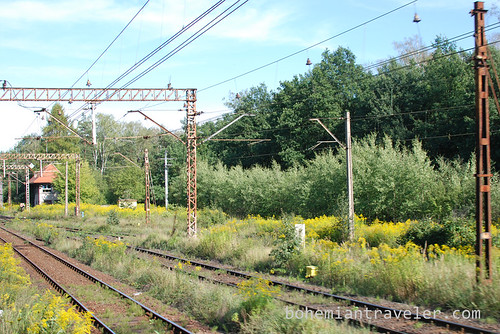 Poland train view (18)