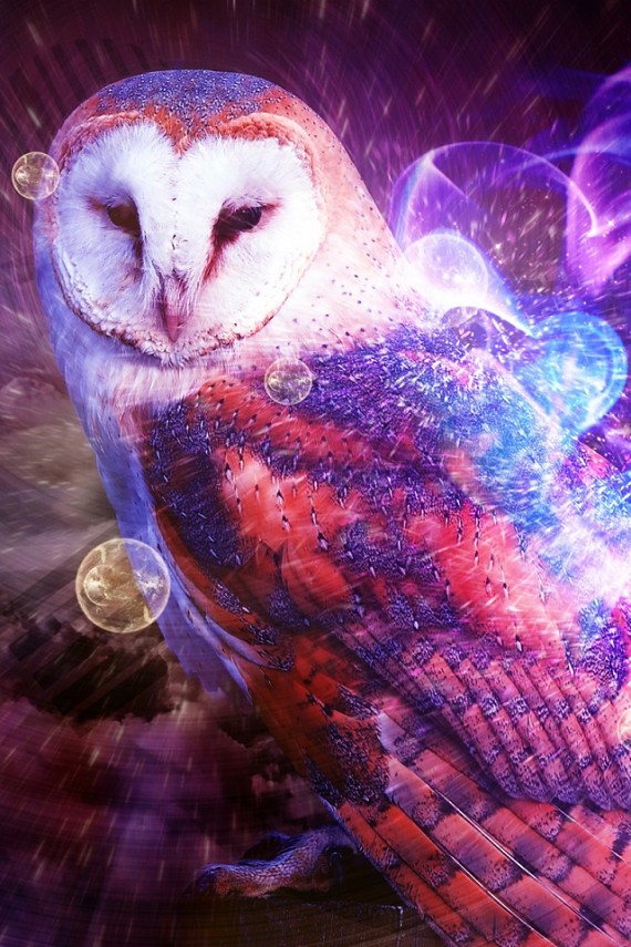 owl-city-zuhu