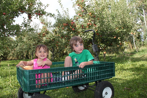 Olsen and Jovie in the wagon 5