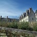 Amboise castle and lavender