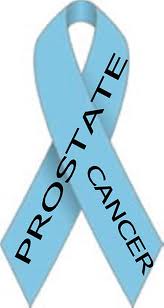 prostate ribbon