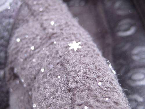 Perfect Snowflakes on the Beinn Eighe Nature Trail