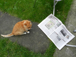 Ginga is unimpressed with his fame =)