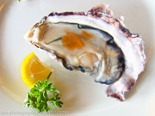 fresh oysters R0019065 copy