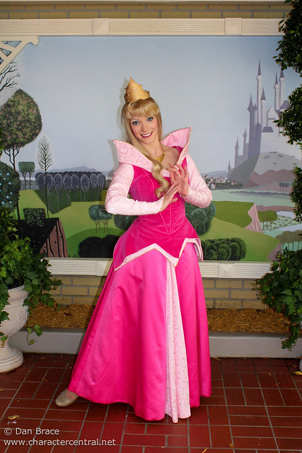 Meeting Princess Aurora