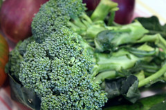 broccoli 055