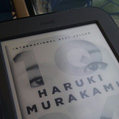 enjoying my new Nook Simple Touch ereader