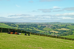 View from Moor Hey Lane