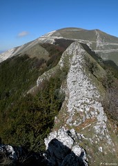 Monte Catria (Marche)