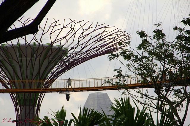 Gardens by the Bay Singapore stroll among trees - by Chic n Cheap Living
