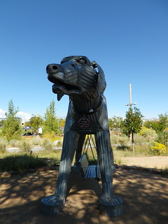 Railyard Dog