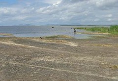 馬拉威奇爾瓦湖 飢荒的最後防線