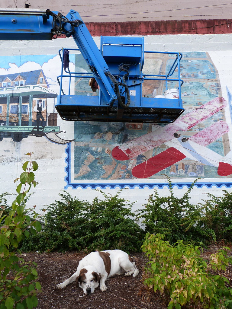 Grandma Paints A Mural; Hutch Watches Over