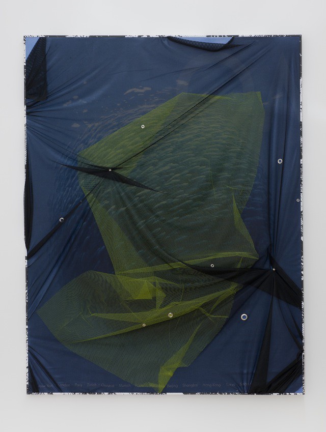 RL2012 Omega, Synthetic mesh fabric, synthetic gauze, digital print on silk on stretcher, various eyelets, xerox copy, mdf, artist frame 100 x 130 cm