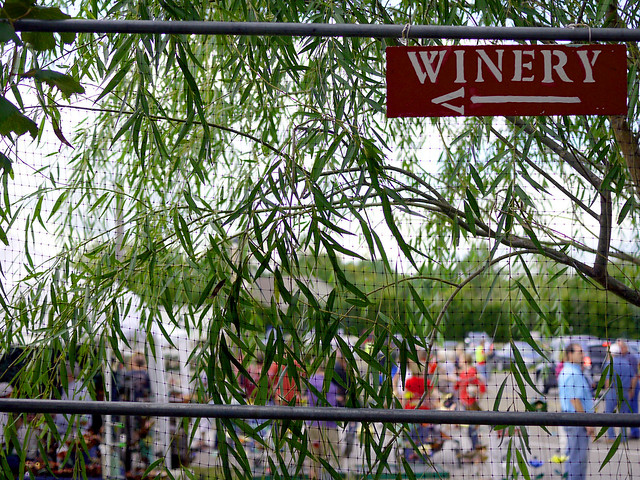 Vinkolet Arts & Wine Festival