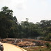 Cameroon impressions - IMG_2404_CR2