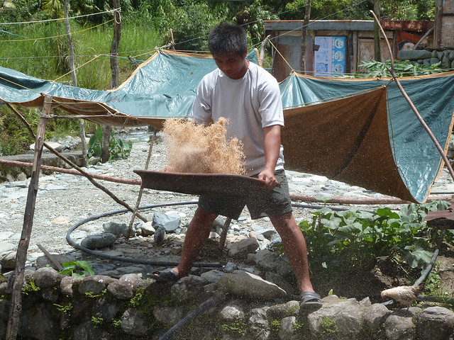 Tres días inolvidables, por las terrazas de arroz de Ifugao. - ¡FILIPINAS, TIERRA DE GALLOS! (45)
